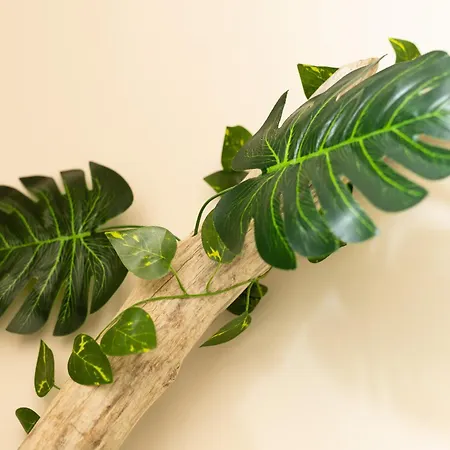 Sable Et Savane Proche De La