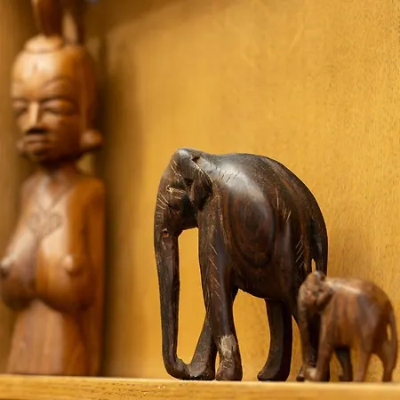 Sable Et Savane Proche De La