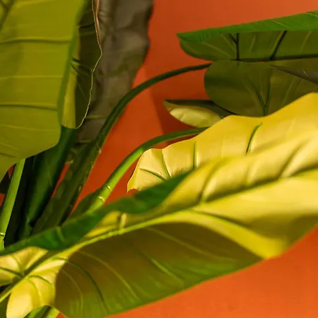 Sable Et Savane Proche De La Dunkirk