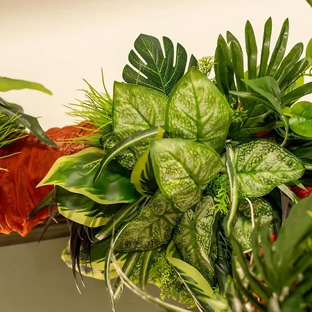 Apartment Sable Et Savane Proche De La *